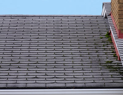 Dark Streaks on an Asphalt Roof Dark Streaks on an Asphalt Roof